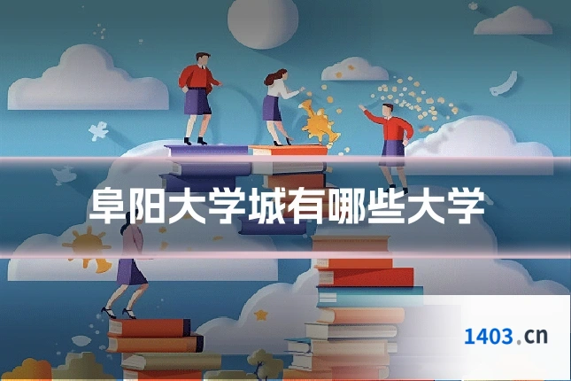 阜阳大学城有哪些大学