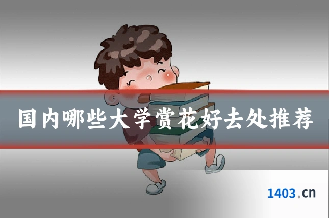 国内哪些大学赏花好去处推荐
