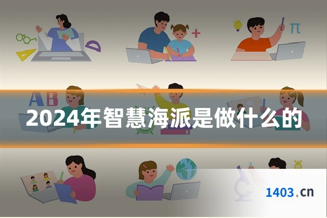 2024年智慧海派是做什么的
