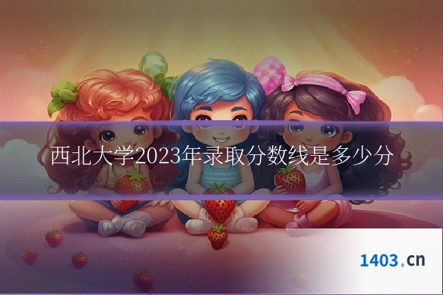 西北大学2023年录取分数线是多少分