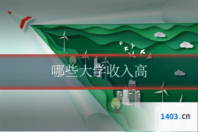 哪些大学收入高