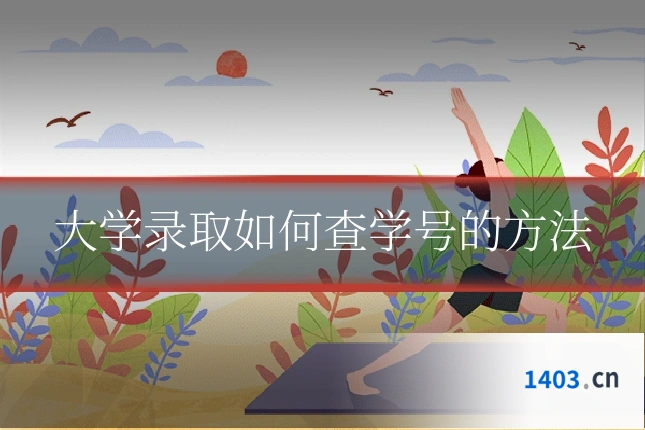 大学录取如何查学号的方法