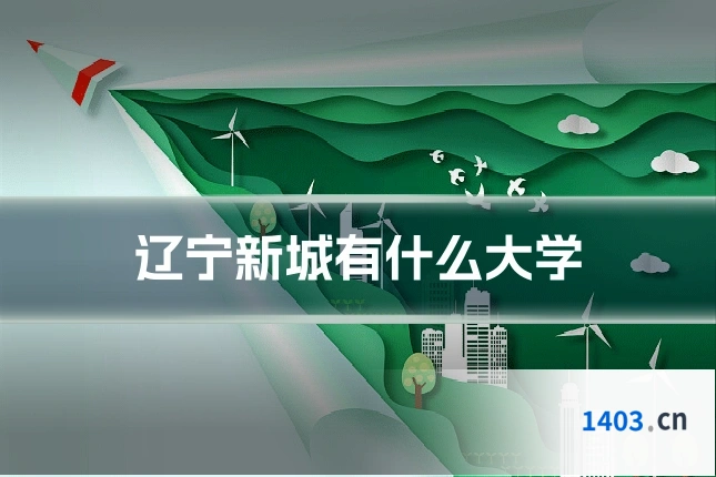 辽宁新城有什么大学