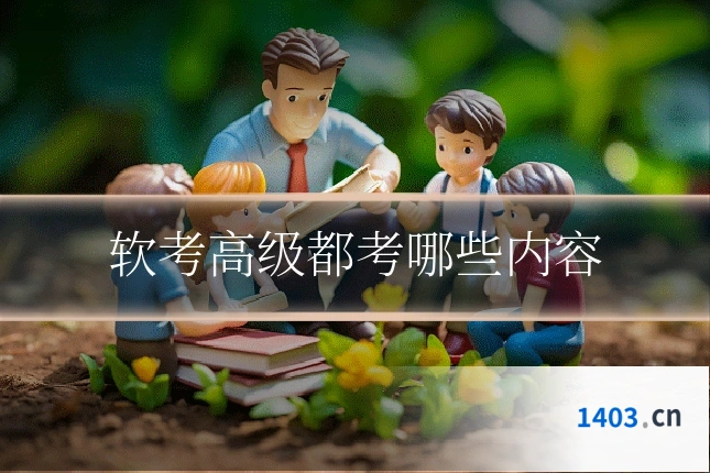 软考高级都考哪些内容