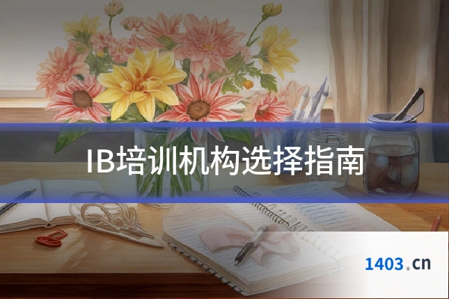 IB培训机构选择指南