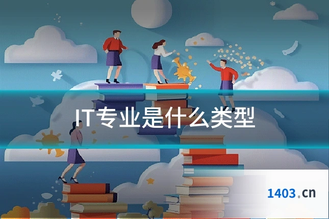 IT专业是什么类型