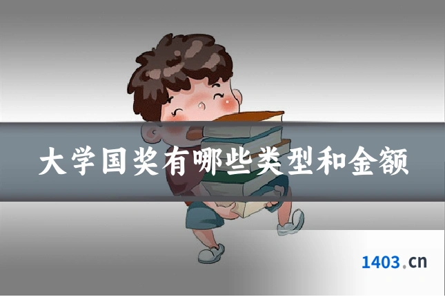 大学国奖有哪些类型和金额