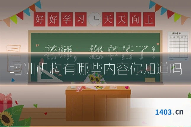 培训机构有哪些内容你知道吗