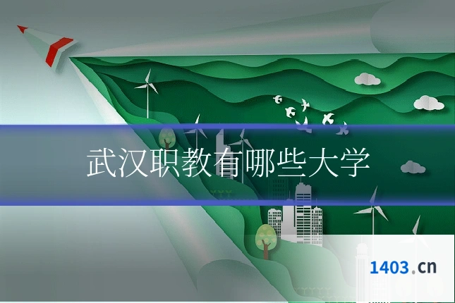 武汉职教有哪些大学