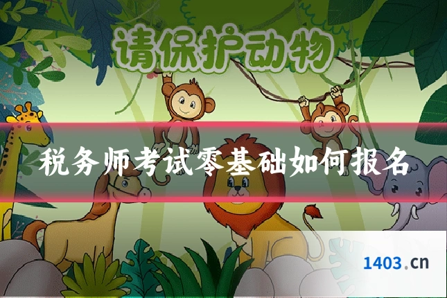 税务师考试零基础如何报名