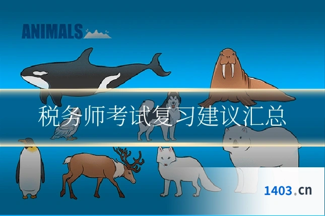 税务师考试复习建议汇总