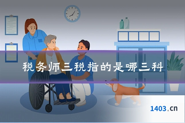 税务师三税指的是哪三科