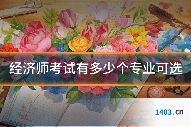 经济师考试有多少个专业可选
