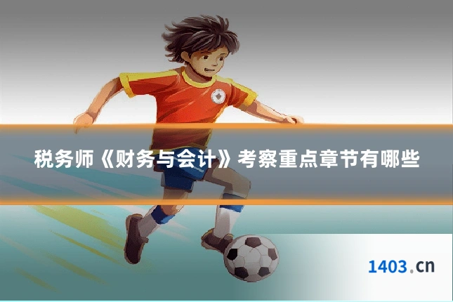 税务师《财务与会计》考察重点章节有哪些