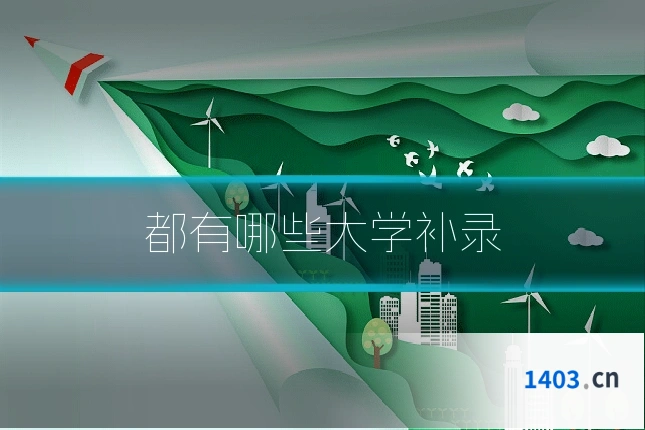 都有哪些大学补录