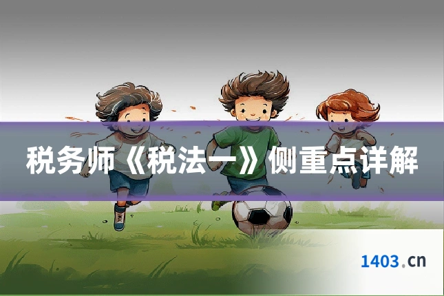 税务师《税法一》侧重点详解