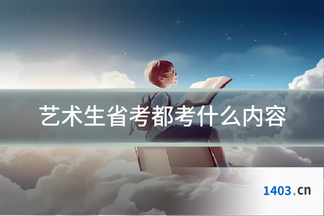 艺术生省考都考什么内容