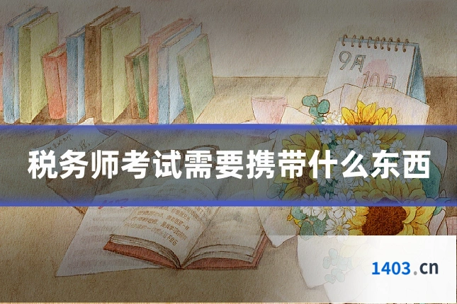 税务师考试需要携带什么东西