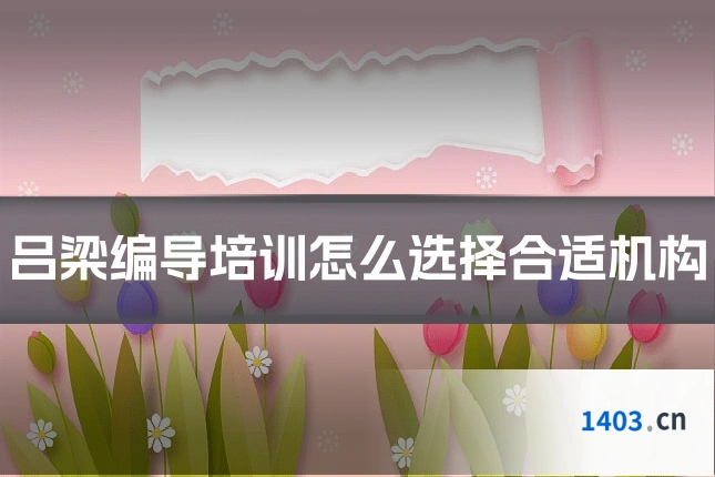 吕梁编导培训怎么选择合适机构
