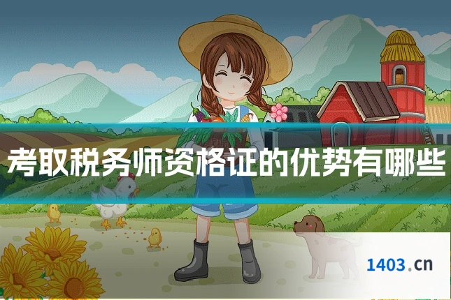 考取税务师资格证的优势有哪些