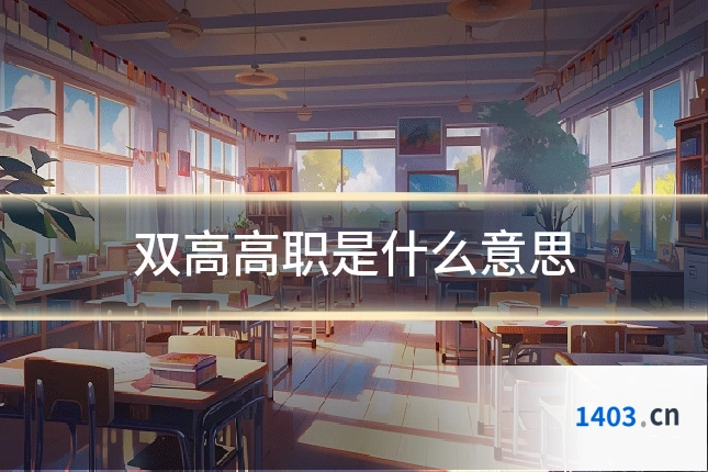 双高高职是什么意思