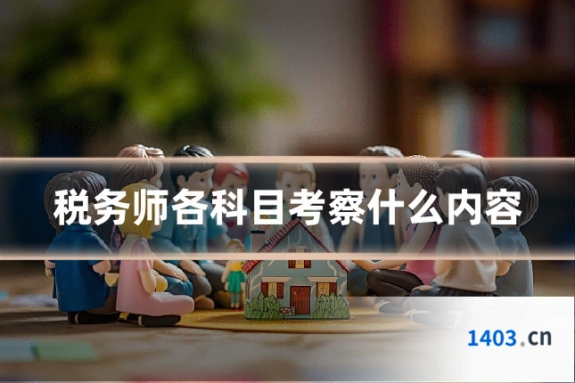 税务师各科目考察什么内容