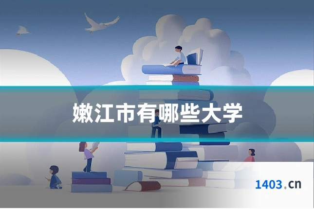 嫩江市有哪些大学