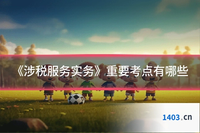《涉税服务实务》重要考点有哪些