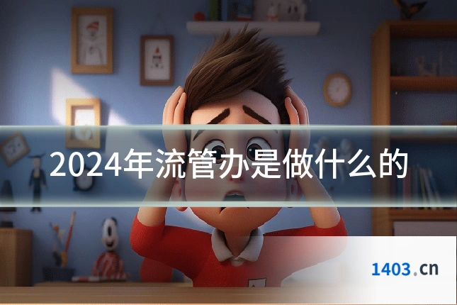 2024年流管办是做什么的