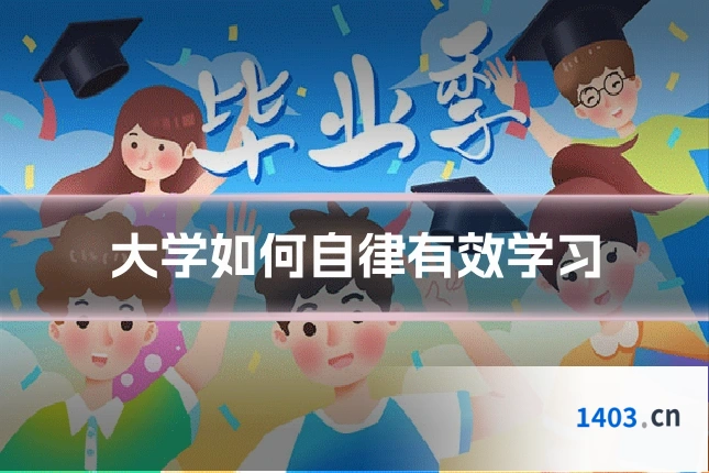 大学如何自律有效学习