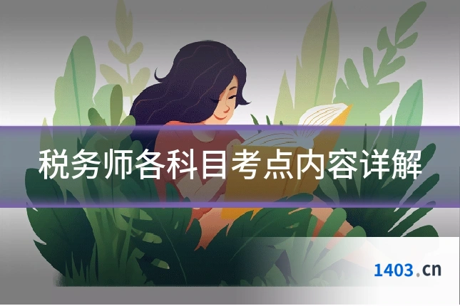 税务师各科目考点内容详解