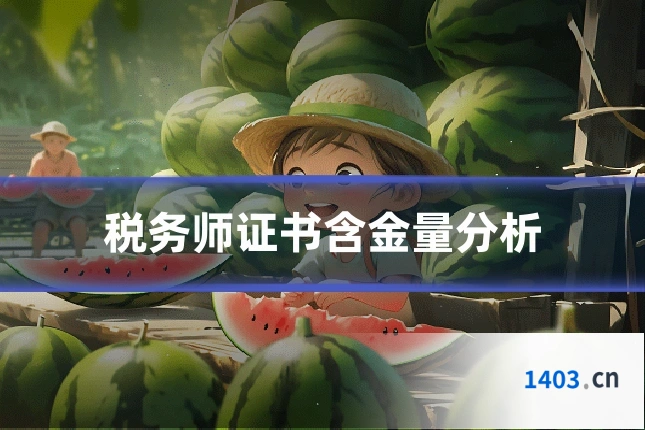 税务师证书含金量分析