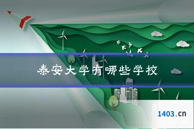 泰安大学有哪些学校