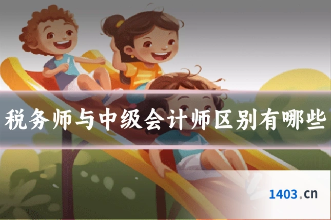 税务师与中级会计师区别有哪些