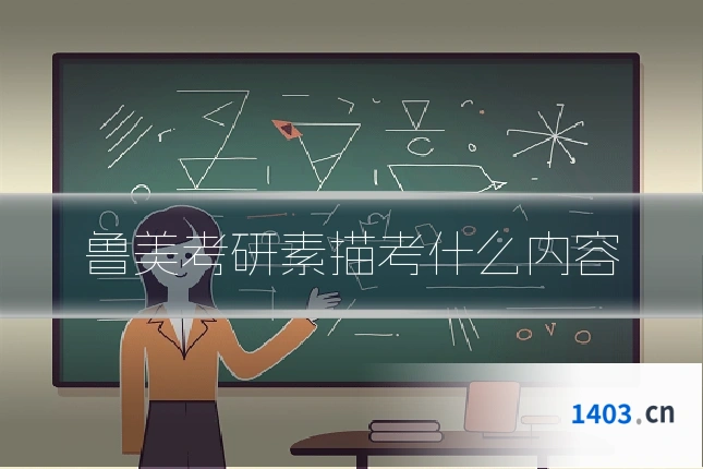 鲁美考研素描考什么内容