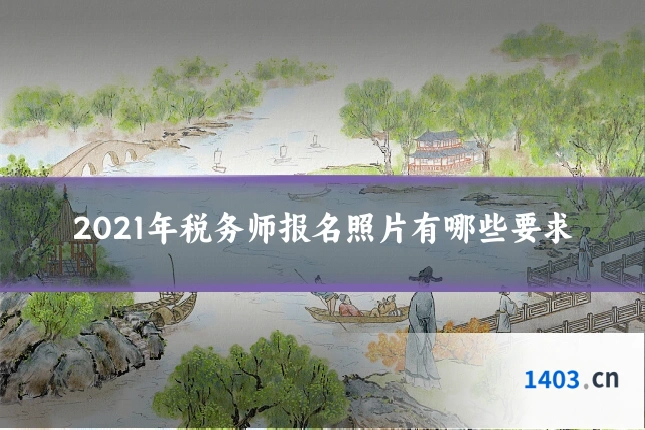 2021年税务师报名照片有哪些要求