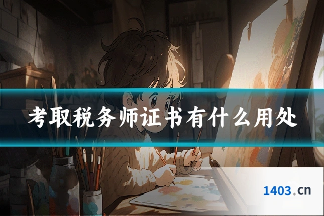 考取税务师证书有什么用处