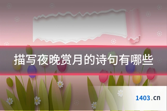 描写夜晚赏月的诗句有哪些