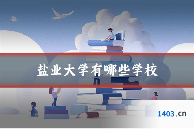 盐业大学有哪些学校