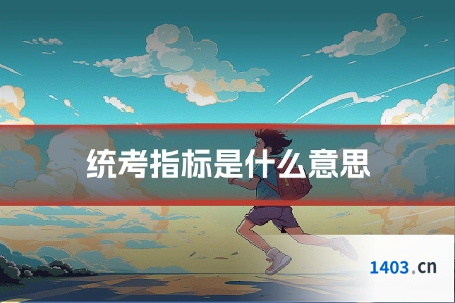 统考指标是什么意思