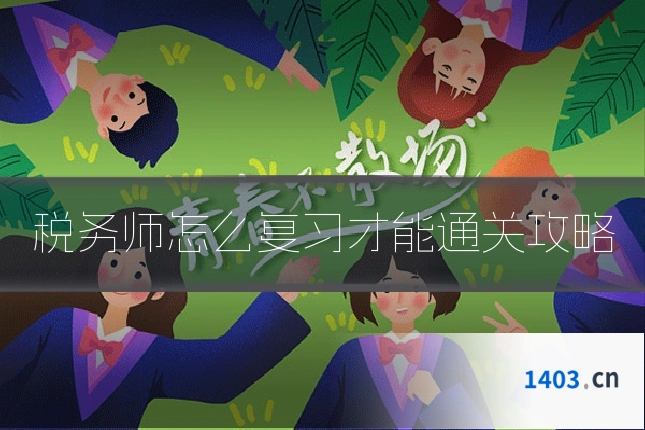 税务师怎么复习才能通关攻略