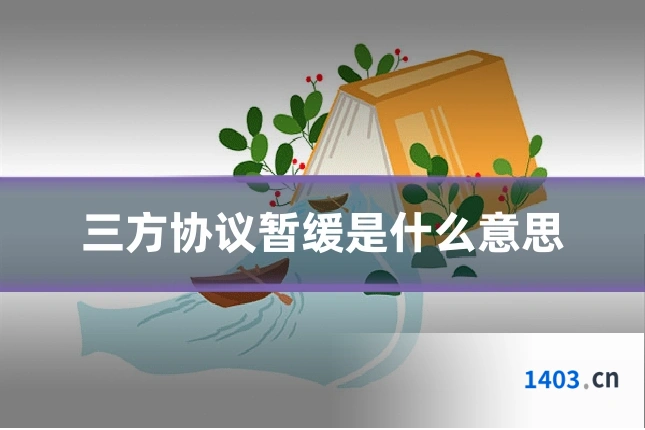 三方协议暂缓是什么意思