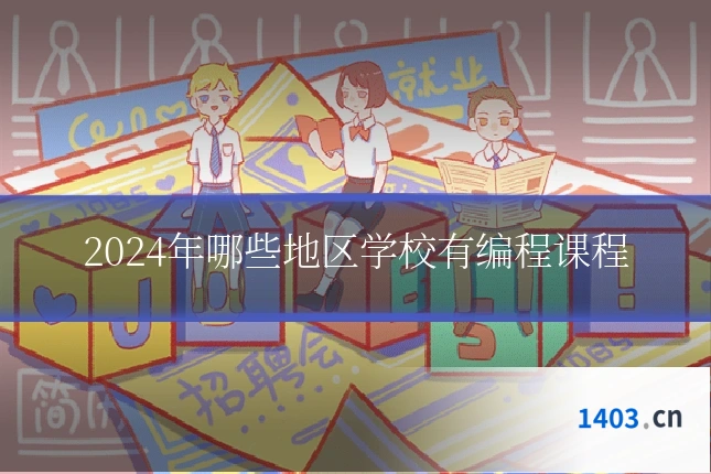 2024年哪些地区学校有编程课程