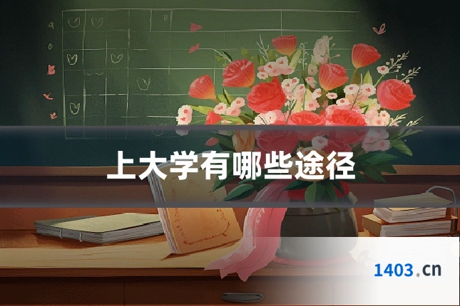 上大学有哪些途径
