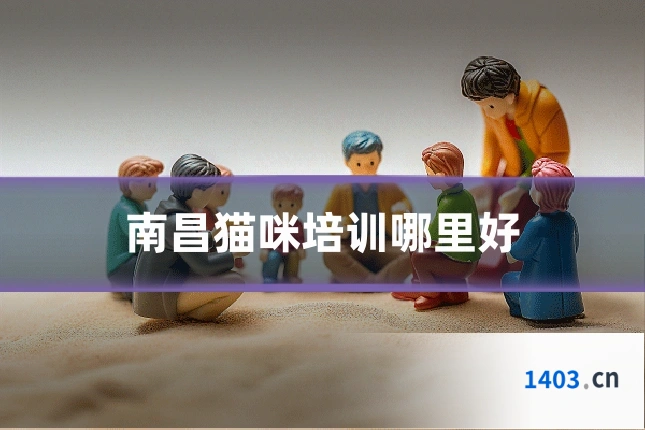 南昌猫咪培训哪里好