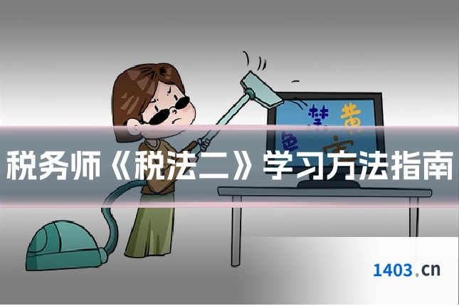 税务师《税法二》学习方法指南