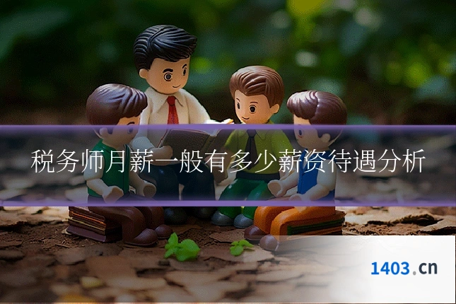 税务师月薪一般有多少薪资待遇分析