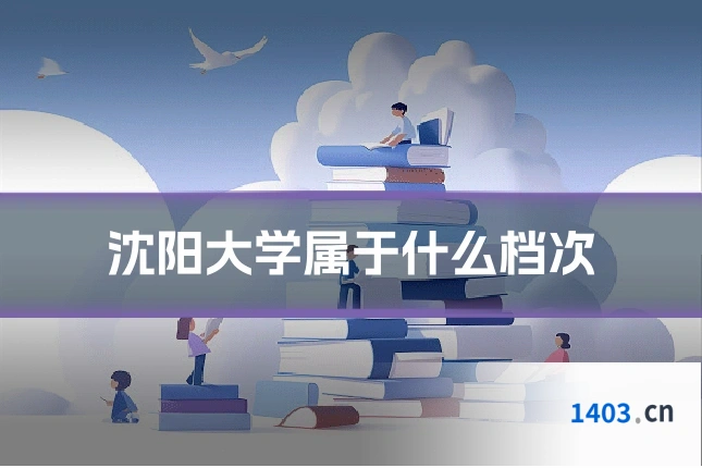 沈阳大学属于什么档次