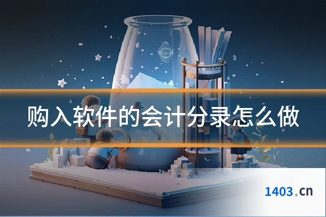 购入软件的会计分录怎么做