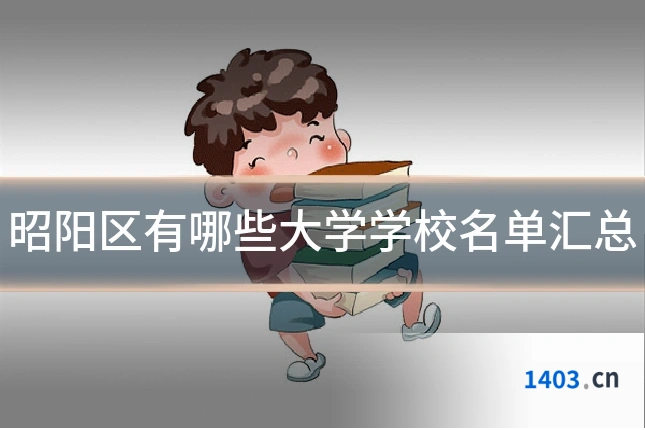 昭阳区有哪些大学学校名单汇总